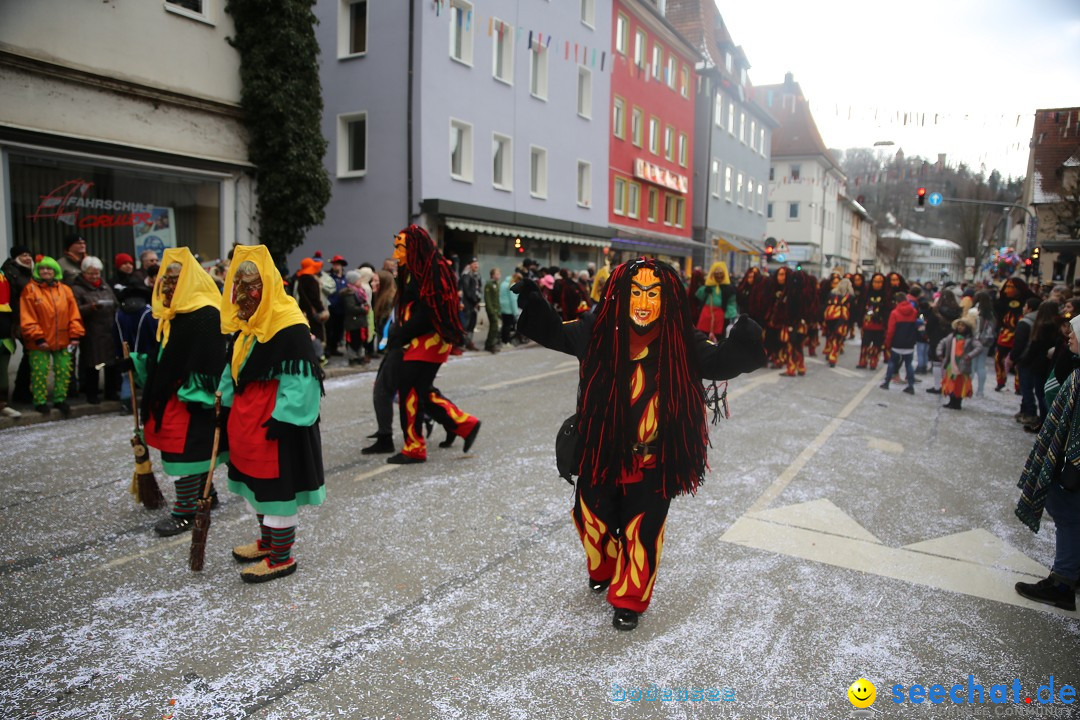 Tuttlinger Fasnetumzug: Tuttlingen am Bodensee, 10.02.2018