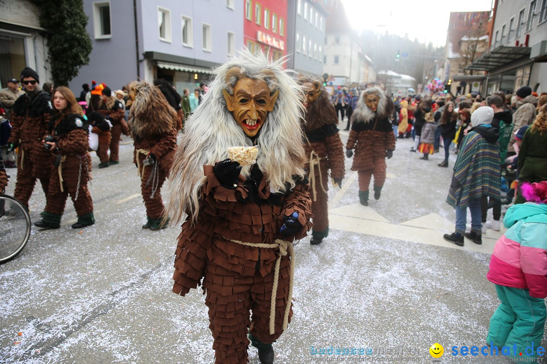 Tuttlinger Fasnetumzug: Tuttlingen am Bodensee, 10.02.2018