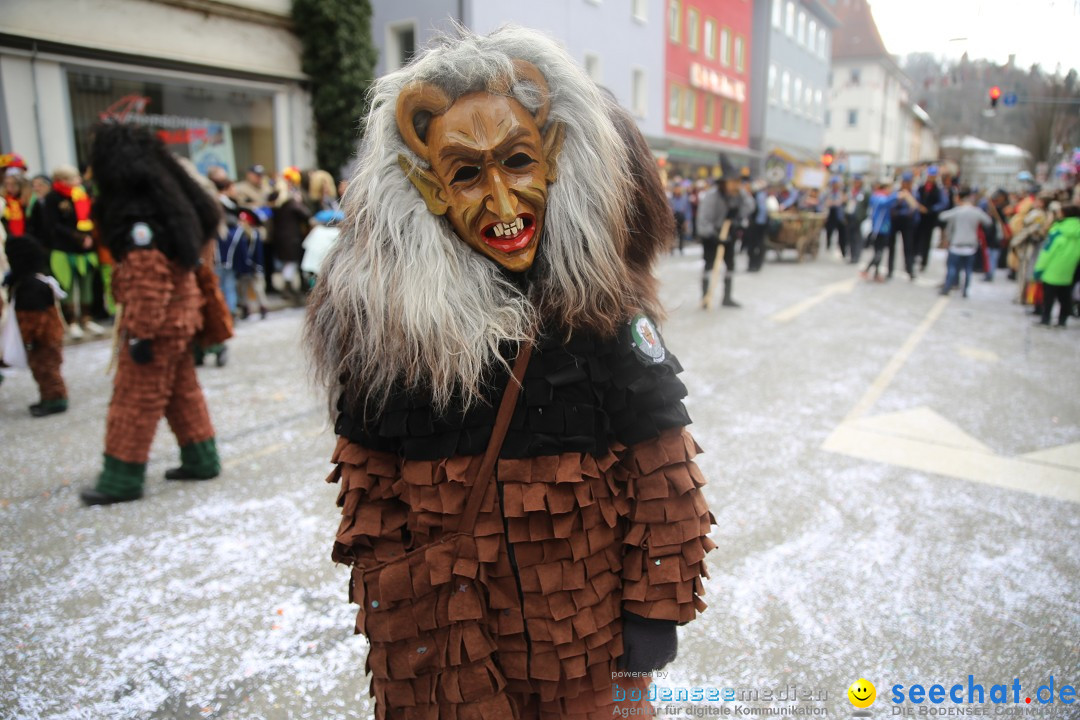 Tuttlinger Fasnetumzug: Tuttlingen am Bodensee, 10.02.2018