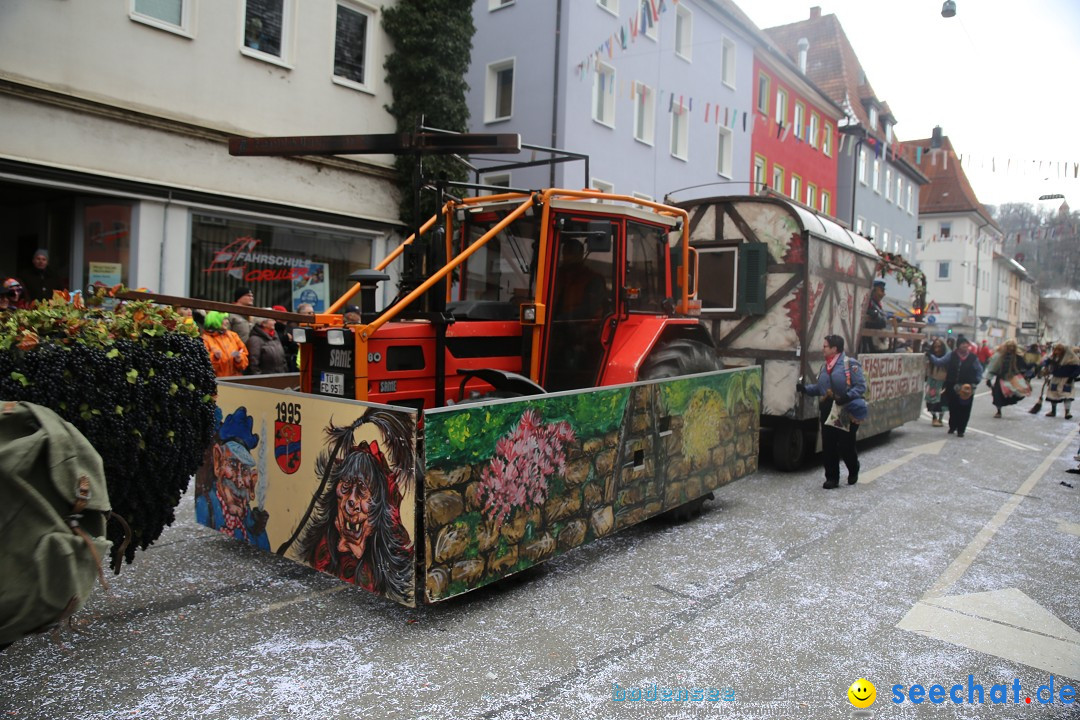 Tuttlinger Fasnetumzug: Tuttlingen am Bodensee, 10.02.2018