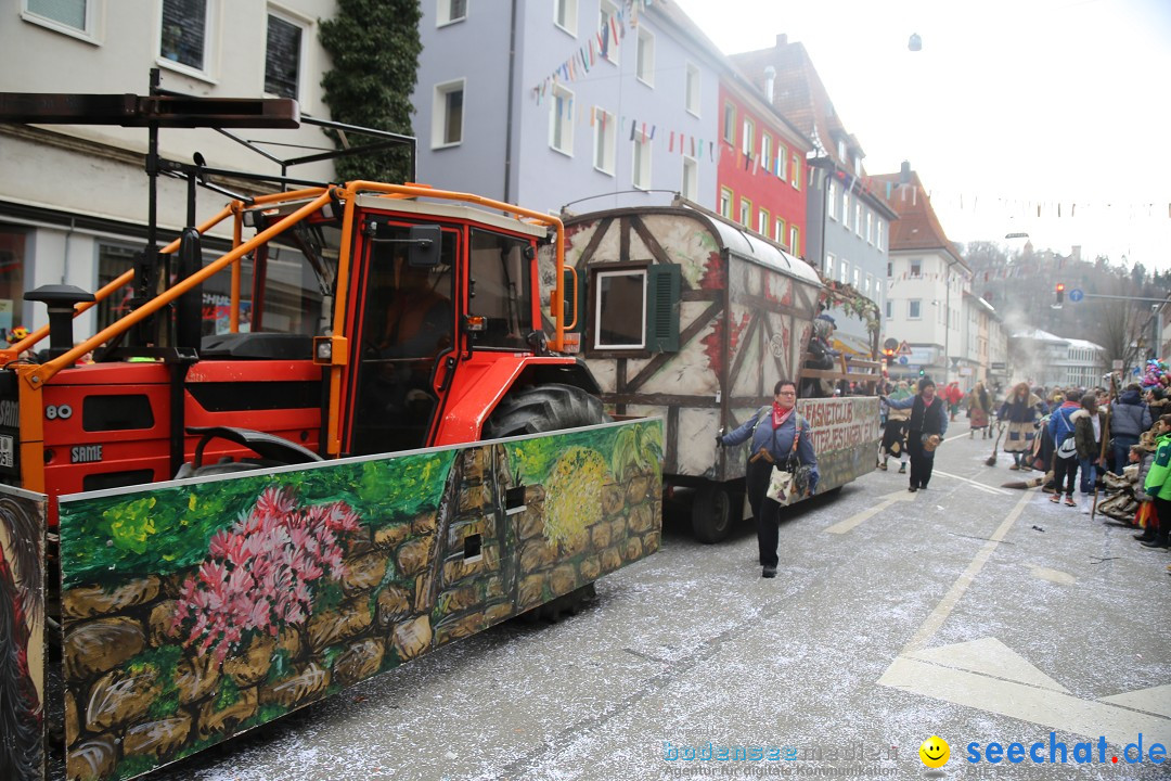 Tuttlinger Fasnetumzug: Tuttlingen am Bodensee, 10.02.2018