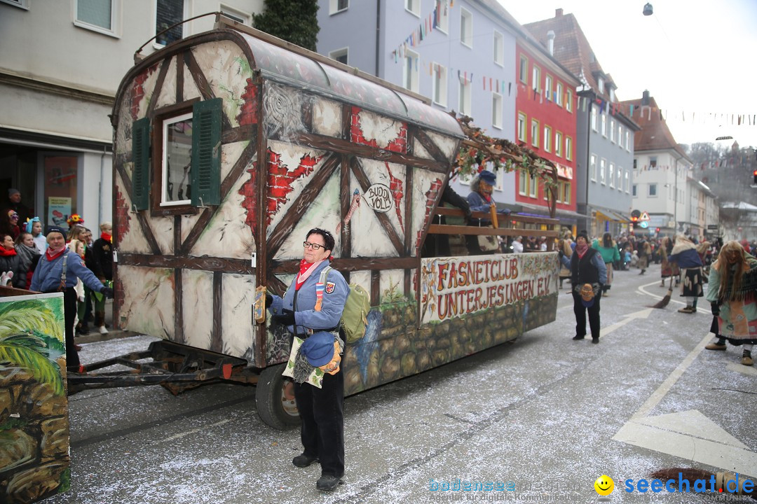 Tuttlinger Fasnetumzug: Tuttlingen am Bodensee, 10.02.2018