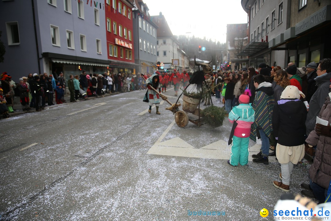 Tuttlinger Fasnetumzug: Tuttlingen am Bodensee, 10.02.2018