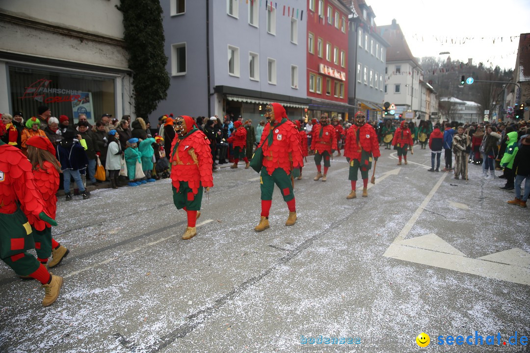 Tuttlinger Fasnetumzug: Tuttlingen am Bodensee, 10.02.2018