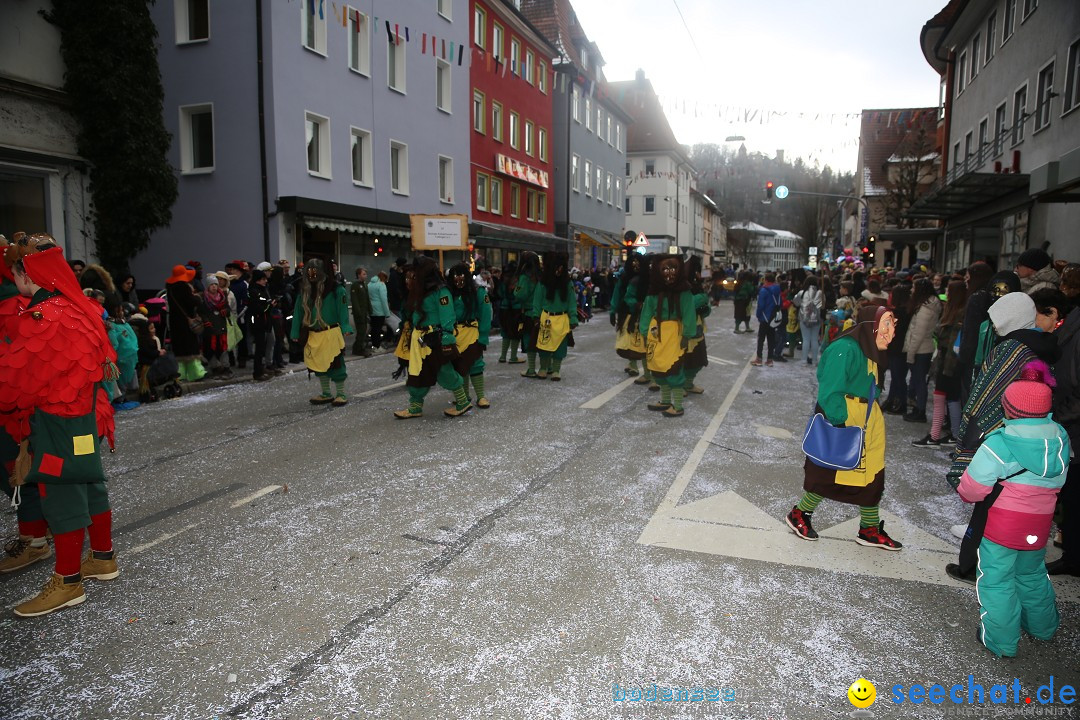 Tuttlinger Fasnetumzug: Tuttlingen am Bodensee, 10.02.2018