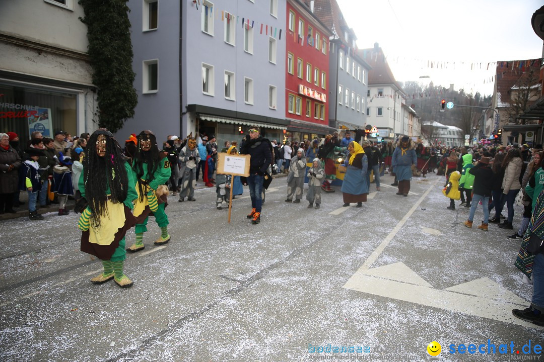 Tuttlinger Fasnetumzug: Tuttlingen am Bodensee, 10.02.2018