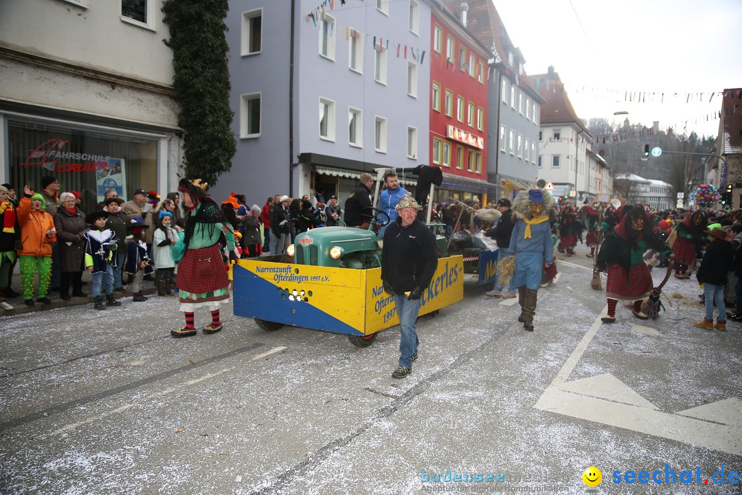 Tuttlinger Fasnetumzug: Tuttlingen am Bodensee, 10.02.2018