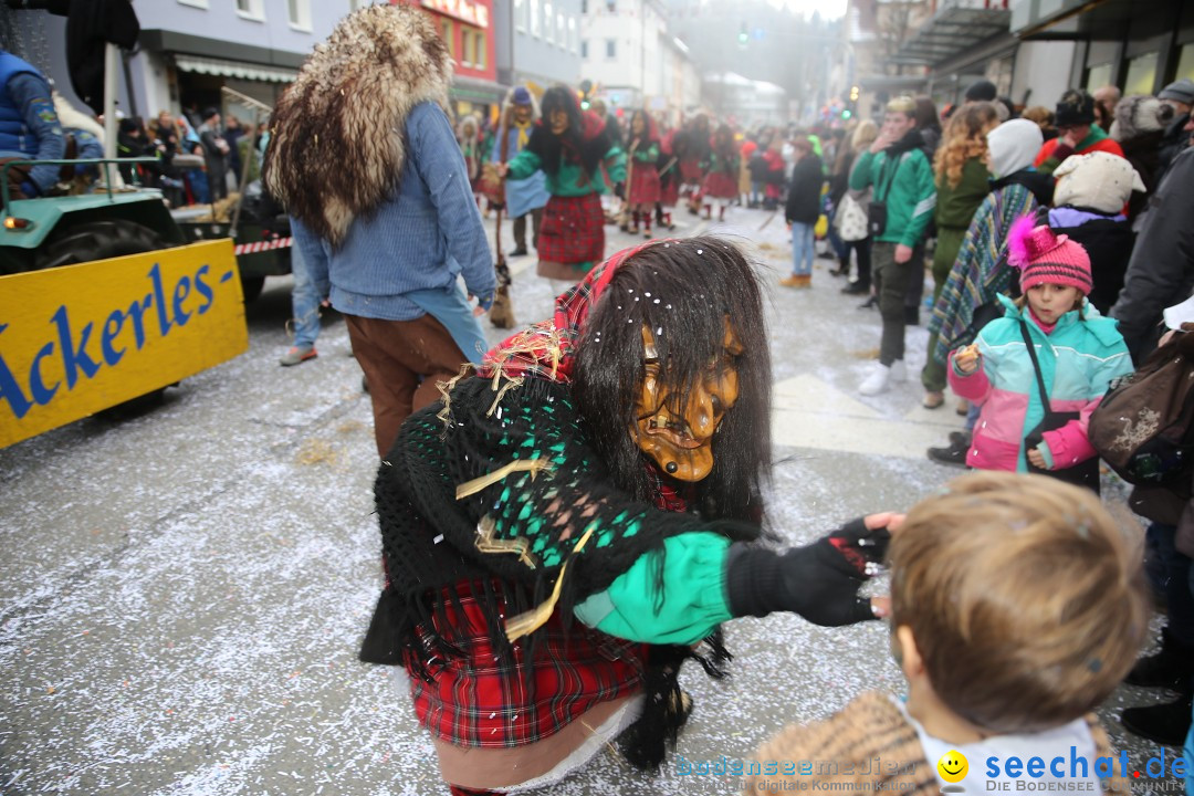 Tuttlinger Fasnetumzug: Tuttlingen am Bodensee, 10.02.2018