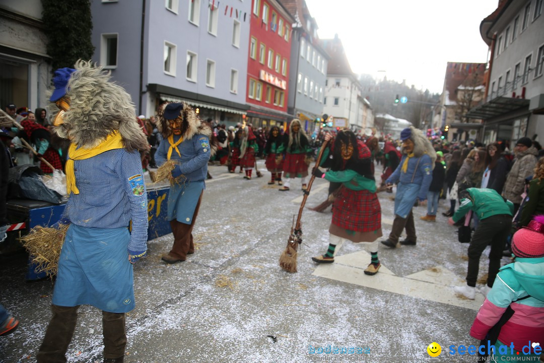 Tuttlinger Fasnetumzug: Tuttlingen am Bodensee, 10.02.2018