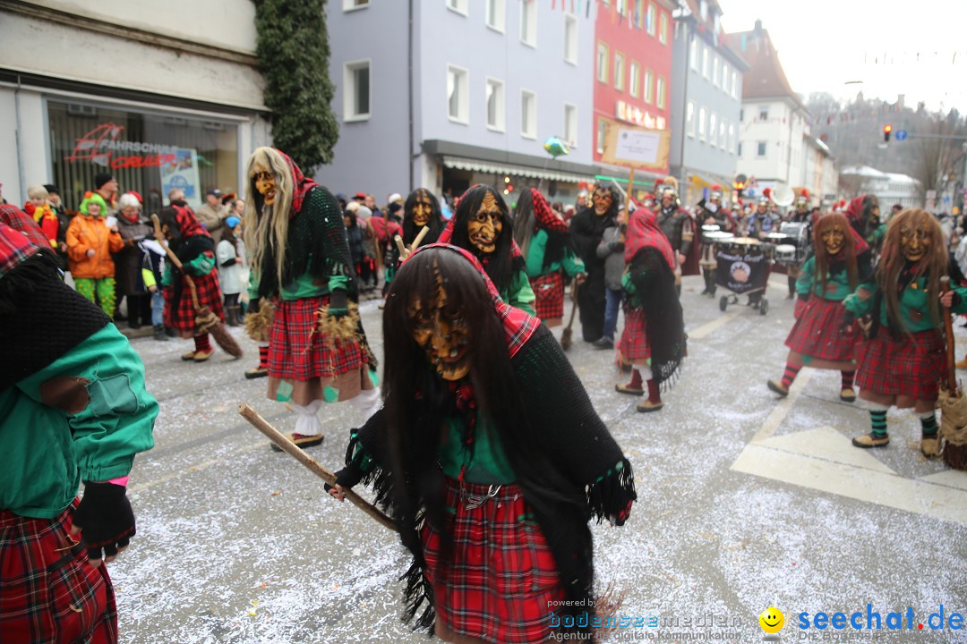 Tuttlinger Fasnetumzug: Tuttlingen am Bodensee, 10.02.2018