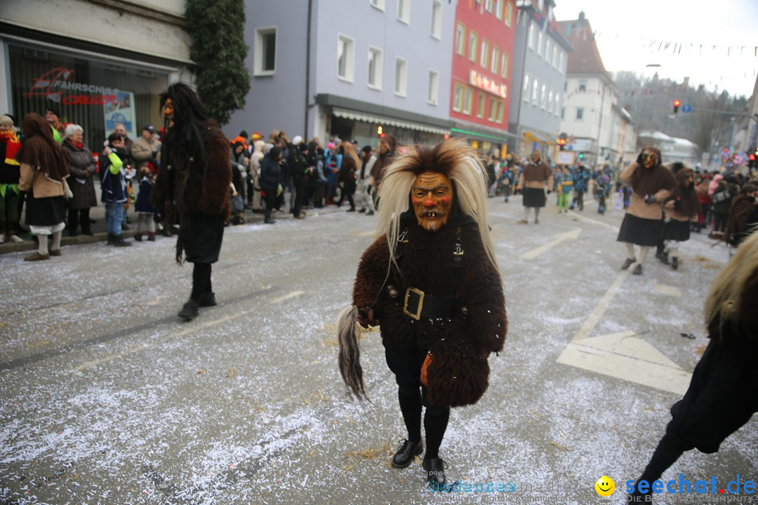 Tuttlinger Fasnetumzug: Tuttlingen am Bodensee, 10.02.2018