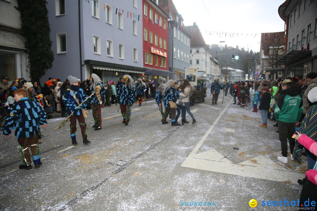 Tuttlinger Fasnetumzug: Tuttlingen am Bodensee, 10.02.2018