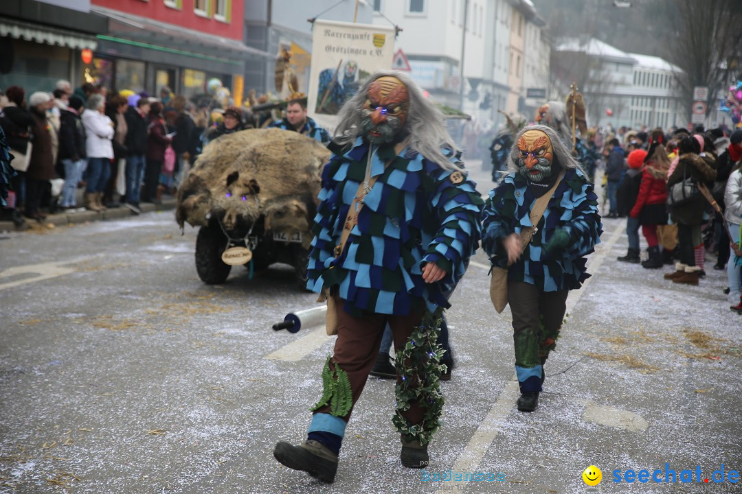 Tuttlinger Fasnetumzug: Tuttlingen am Bodensee, 10.02.2018