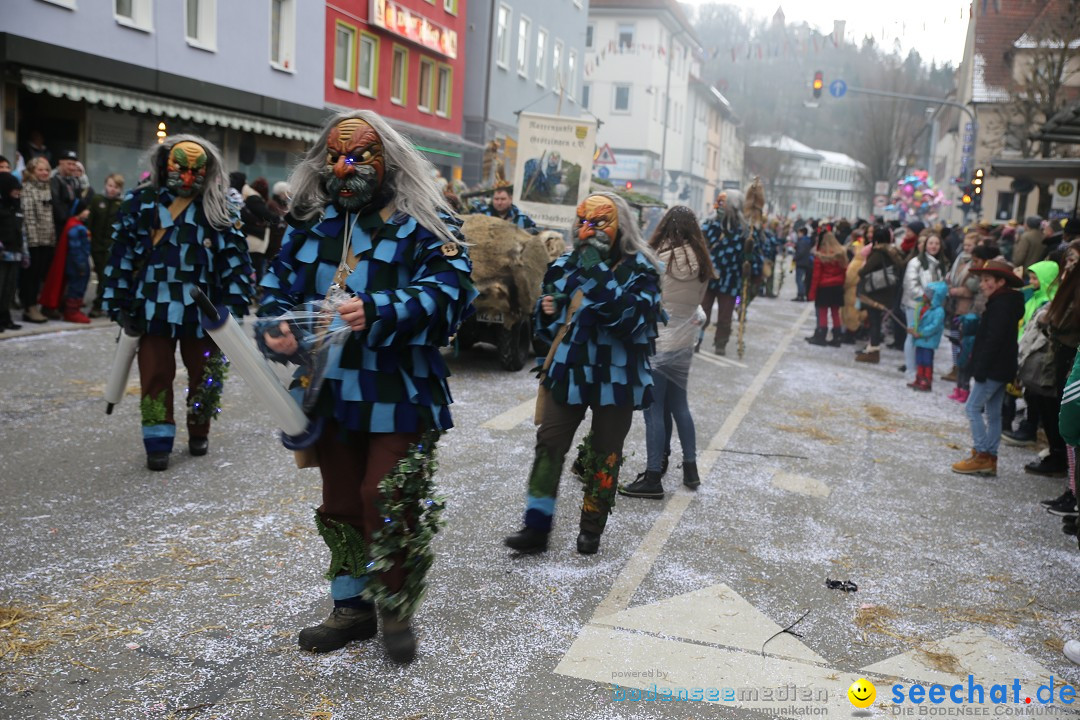 Tuttlinger Fasnetumzug: Tuttlingen am Bodensee, 10.02.2018