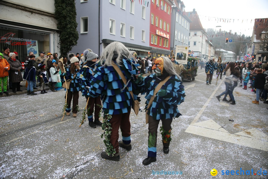 Tuttlinger Fasnetumzug: Tuttlingen am Bodensee, 10.02.2018