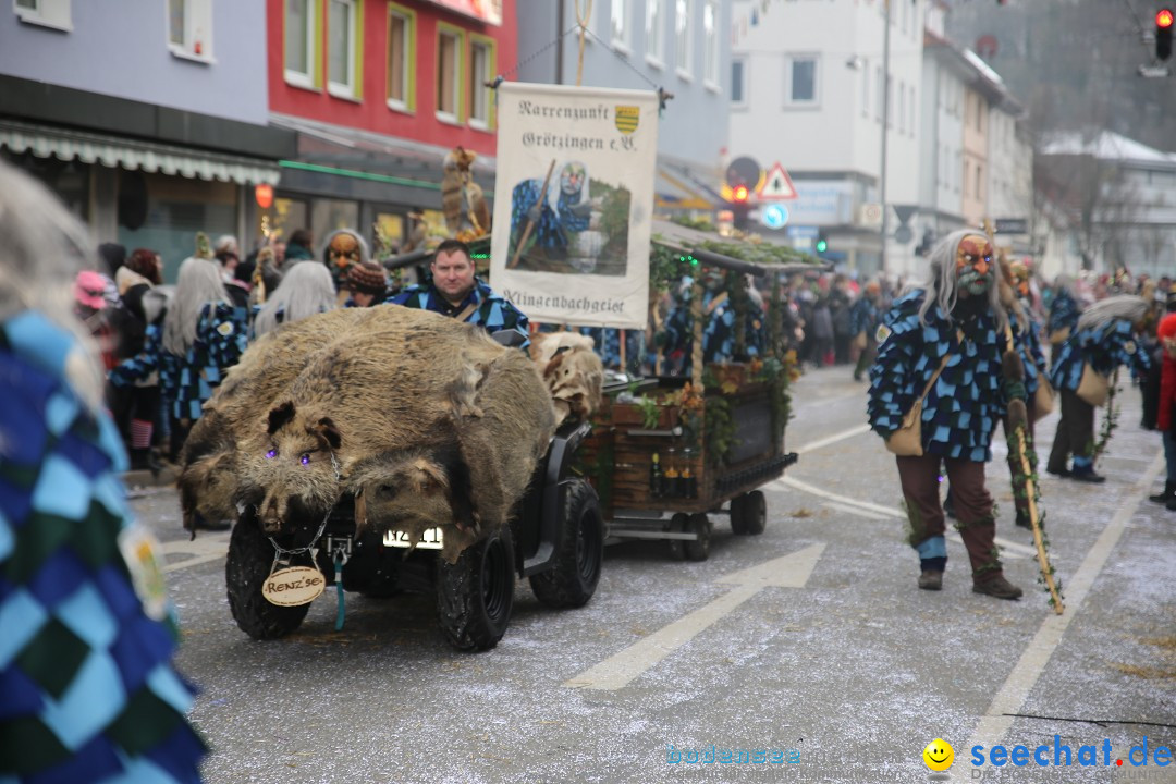 Tuttlinger Fasnetumzug: Tuttlingen am Bodensee, 10.02.2018