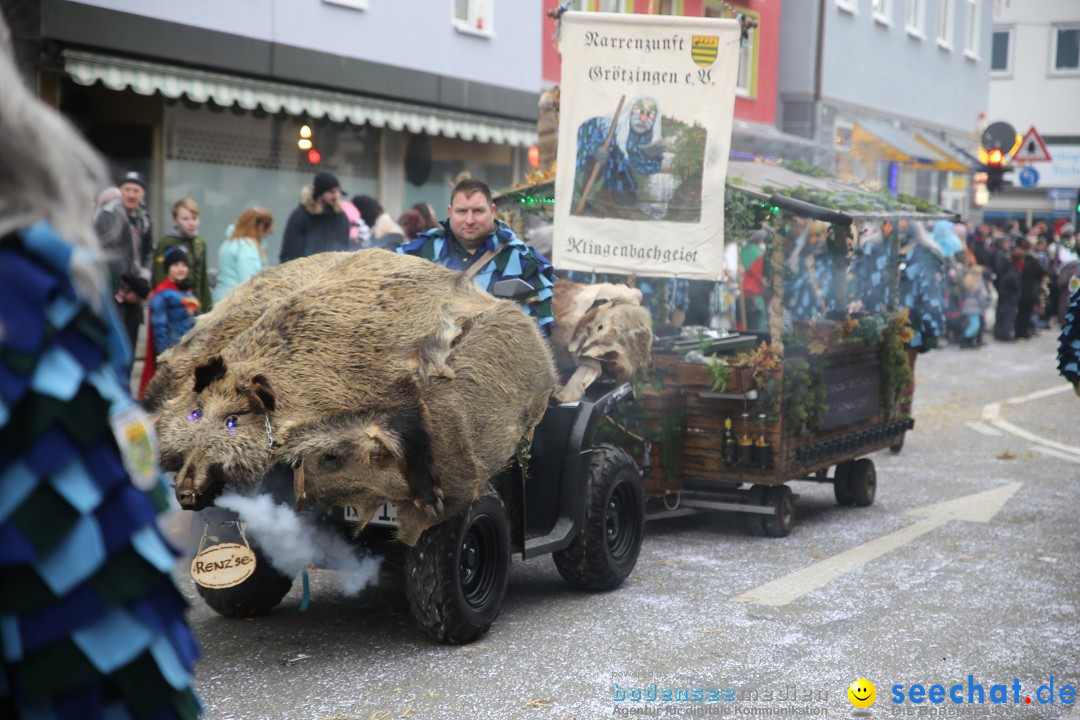 Tuttlinger Fasnetumzug: Tuttlingen am Bodensee, 10.02.2018