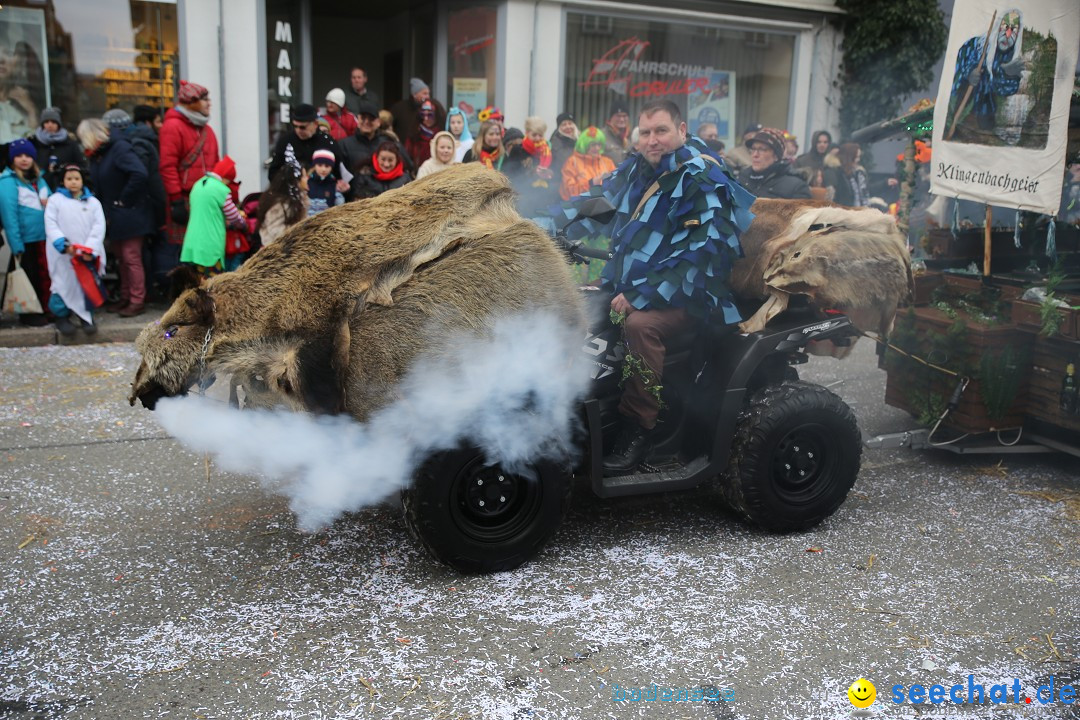 Tuttlinger Fasnetumzug: Tuttlingen am Bodensee, 10.02.2018