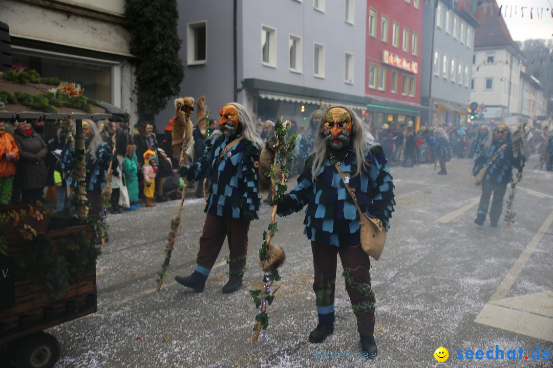 Tuttlinger Fasnetumzug: Tuttlingen am Bodensee, 10.02.2018