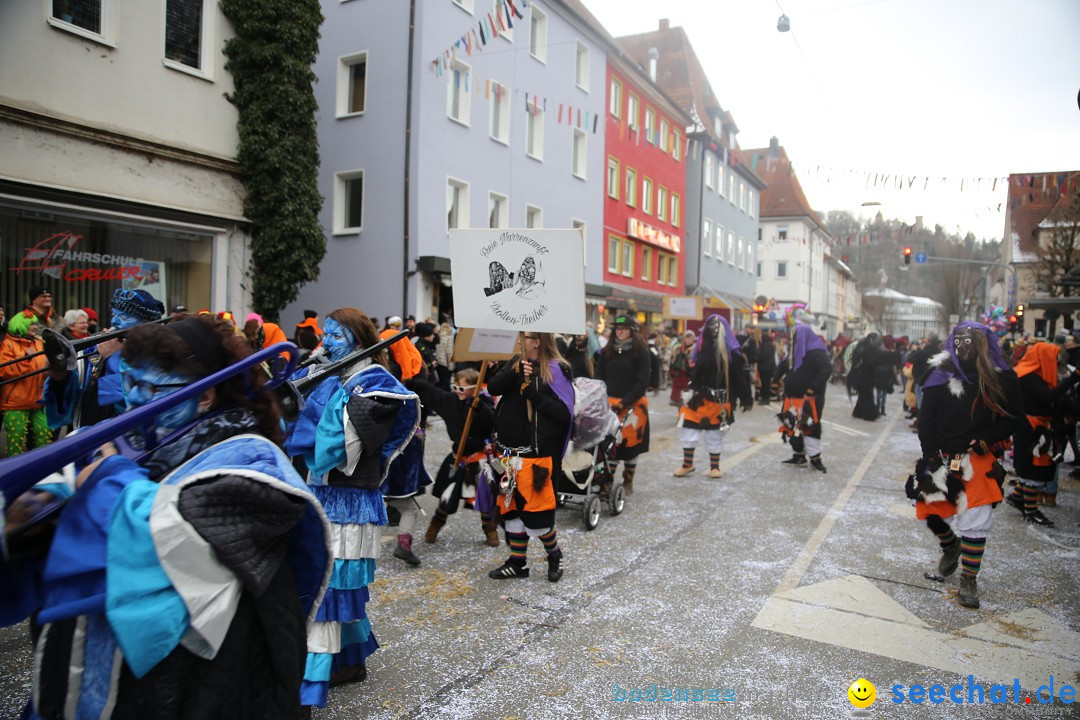 Tuttlinger Fasnetumzug: Tuttlingen am Bodensee, 10.02.2018