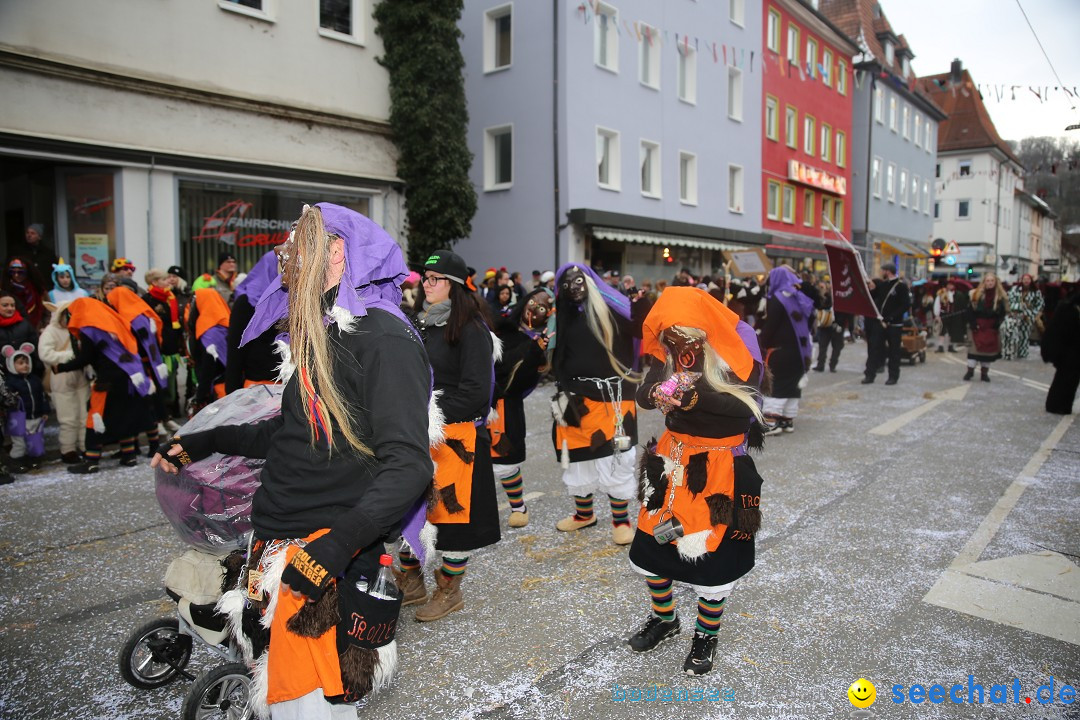 Tuttlinger Fasnetumzug: Tuttlingen am Bodensee, 10.02.2018