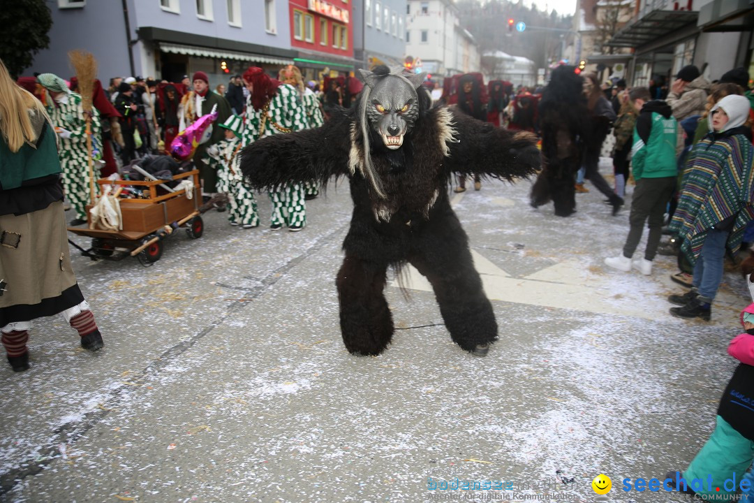 Tuttlinger Fasnetumzug: Tuttlingen am Bodensee, 10.02.2018