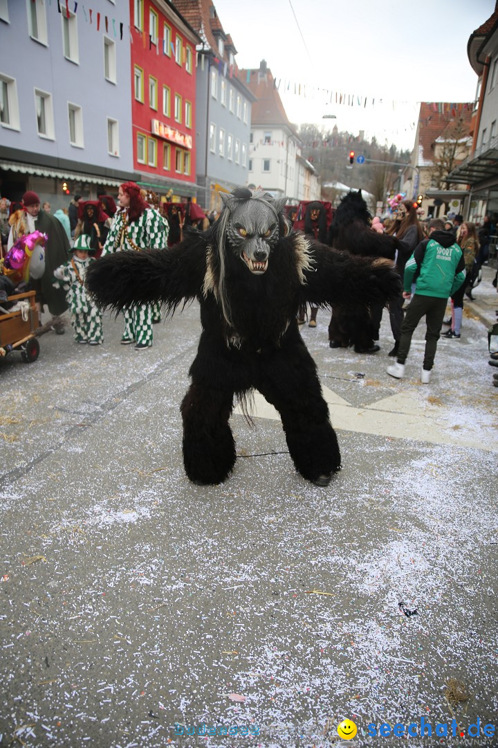 Tuttlinger Fasnetumzug: Tuttlingen am Bodensee, 10.02.2018