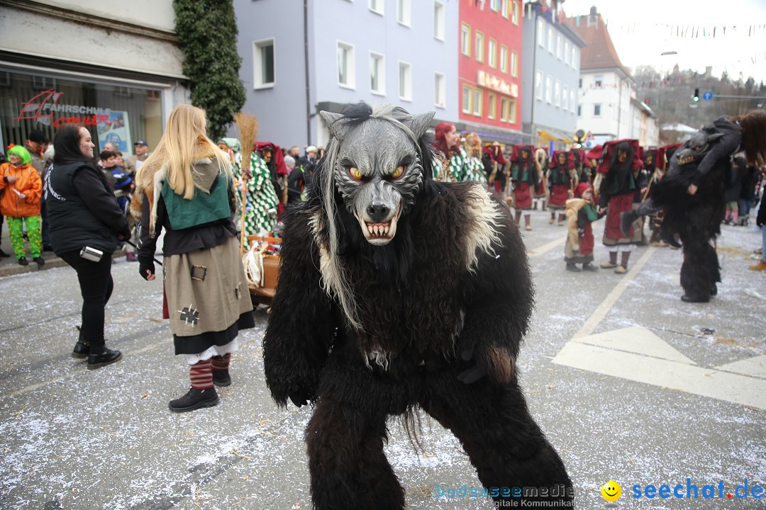 Tuttlinger Fasnetumzug: Tuttlingen am Bodensee, 10.02.2018