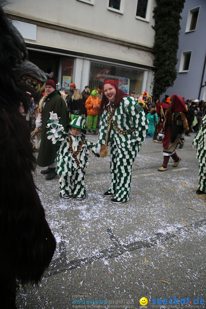 Tuttlinger Fasnetumzug: Tuttlingen am Bodensee, 10.02.2018