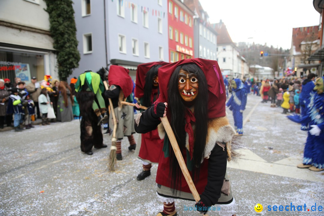 Tuttlinger Fasnetumzug: Tuttlingen am Bodensee, 10.02.2018