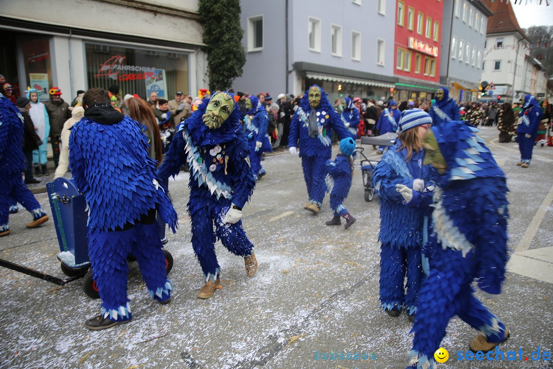 Tuttlinger Fasnetumzug: Tuttlingen am Bodensee, 10.02.2018