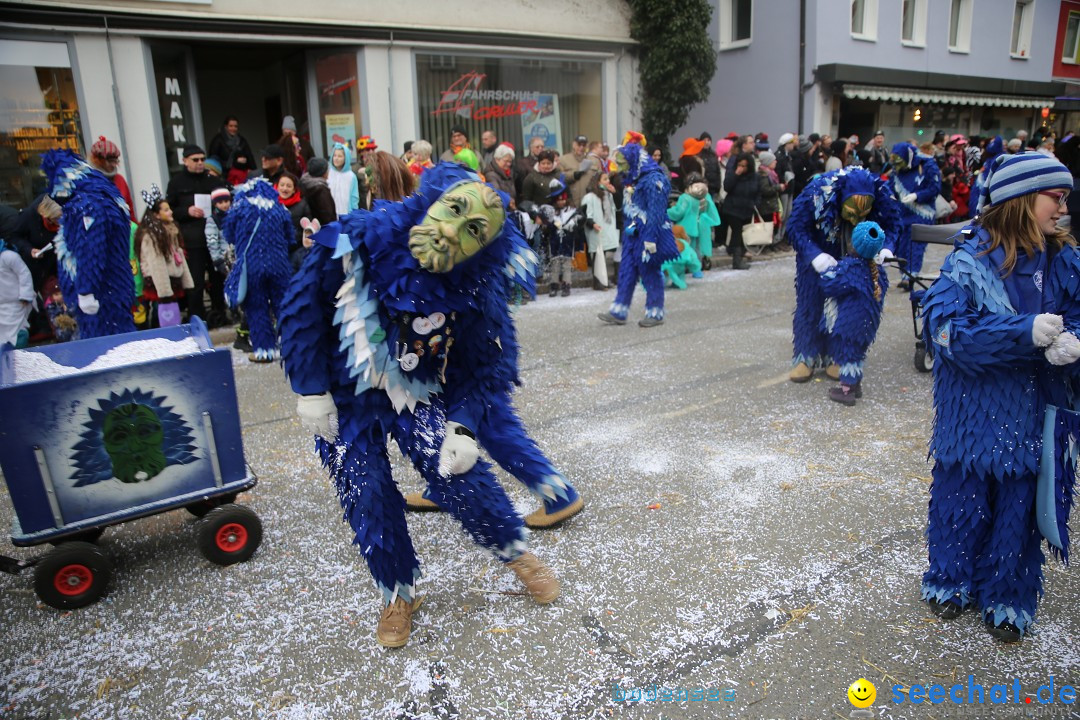 Tuttlinger Fasnetumzug: Tuttlingen am Bodensee, 10.02.2018