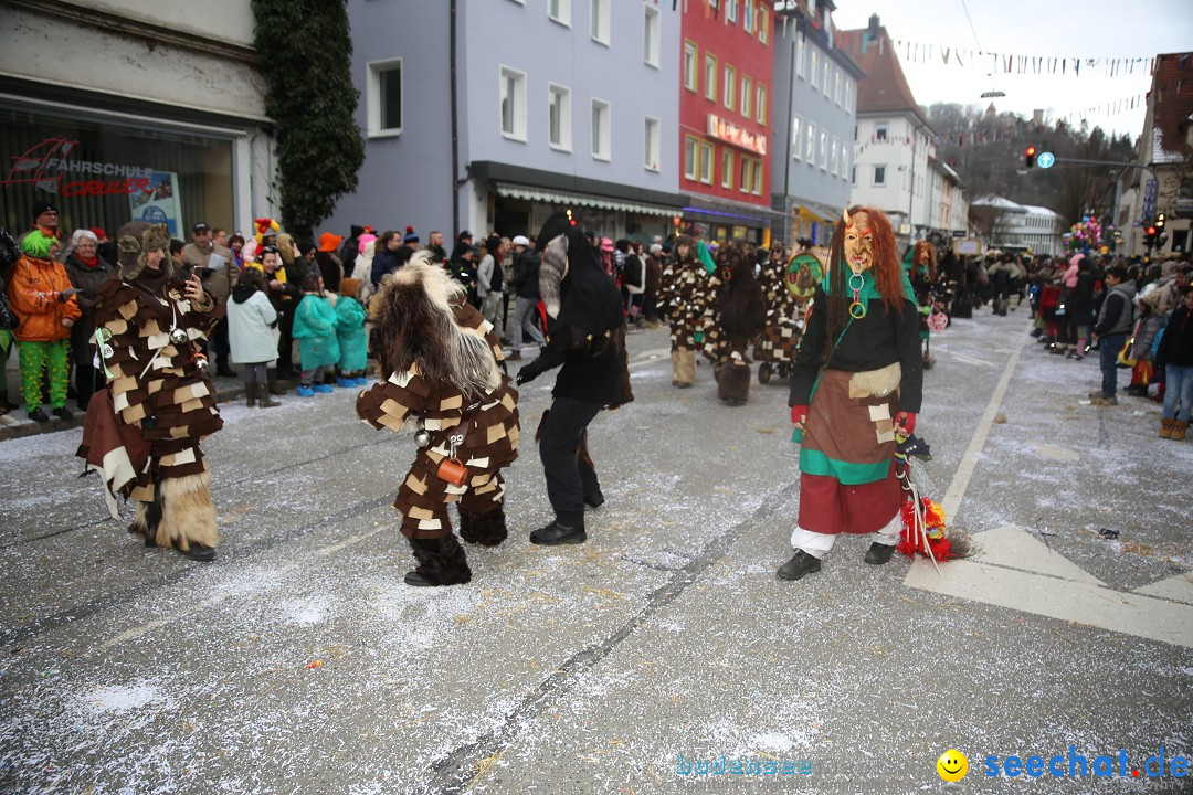 Tuttlinger Fasnetumzug: Tuttlingen am Bodensee, 10.02.2018