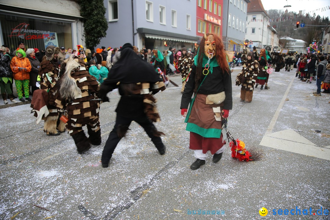 Tuttlinger Fasnetumzug: Tuttlingen am Bodensee, 10.02.2018