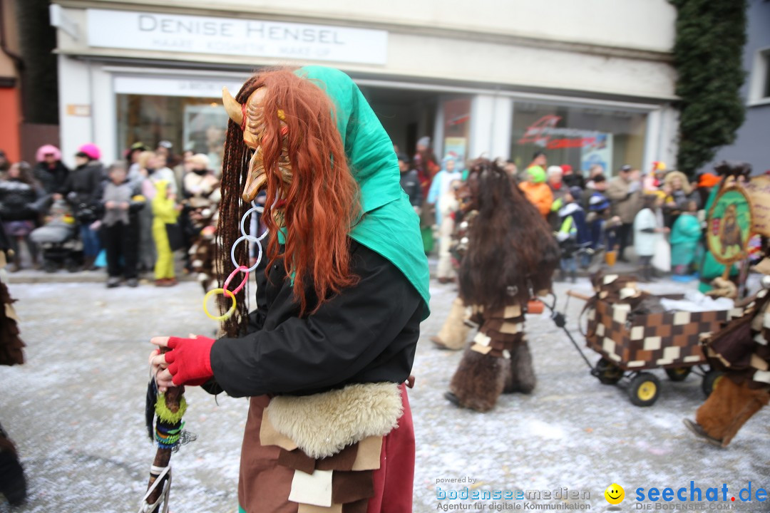 Tuttlinger Fasnetumzug: Tuttlingen am Bodensee, 10.02.2018