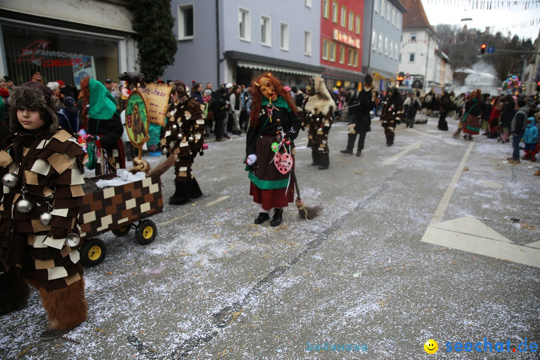 Tuttlinger Fasnetumzug: Tuttlingen am Bodensee, 10.02.2018