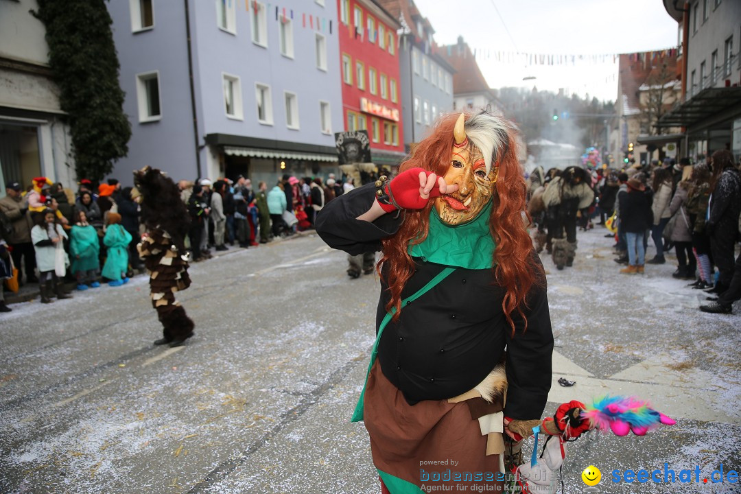 Tuttlinger Fasnetumzug: Tuttlingen am Bodensee, 10.02.2018