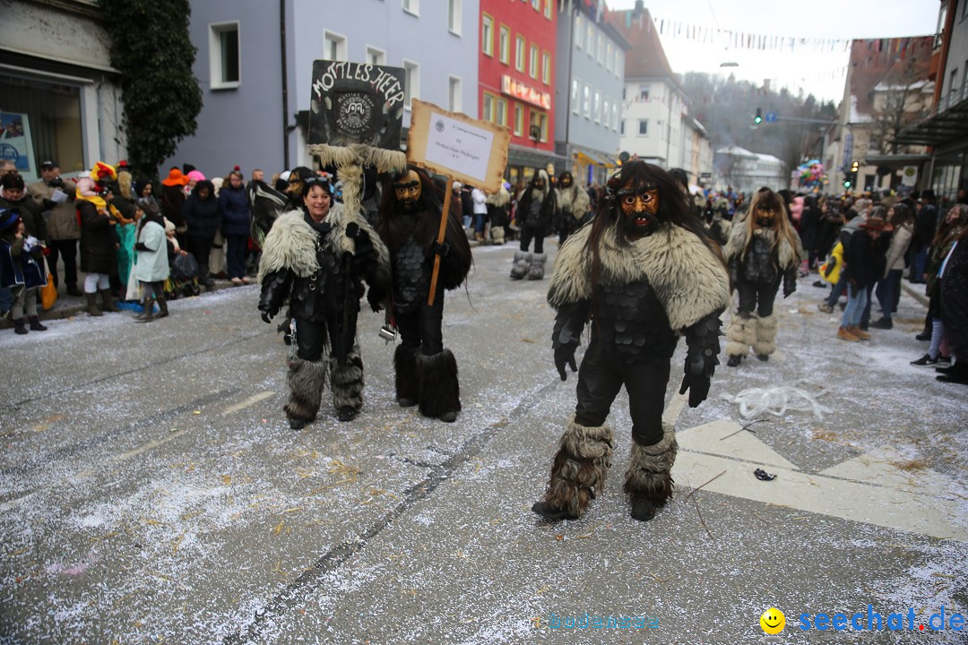 Tuttlinger Fasnetumzug: Tuttlingen am Bodensee, 10.02.2018