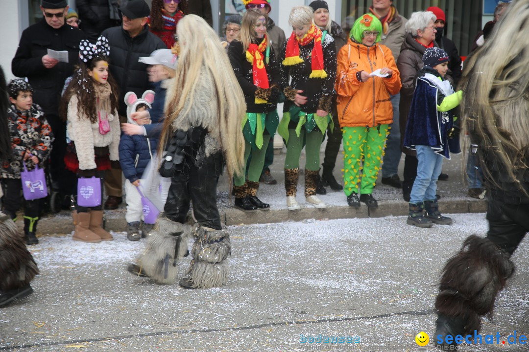 Tuttlinger Fasnetumzug: Tuttlingen am Bodensee, 10.02.2018