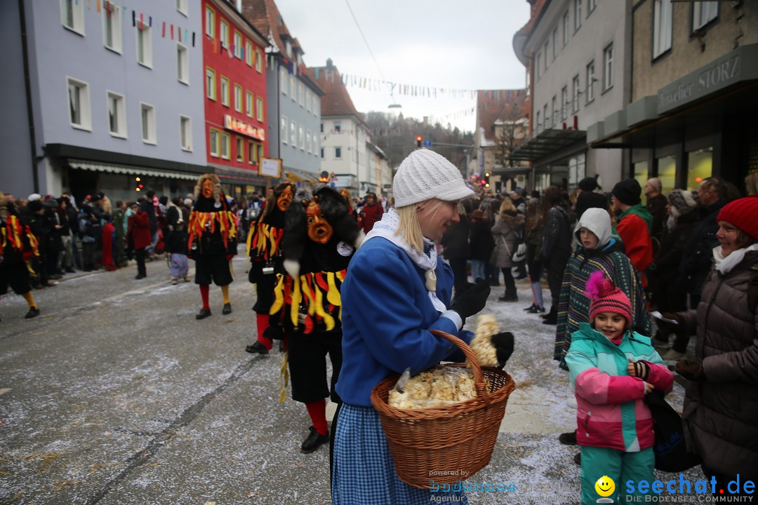 Tuttlinger Fasnetumzug: Tuttlingen am Bodensee, 10.02.2018