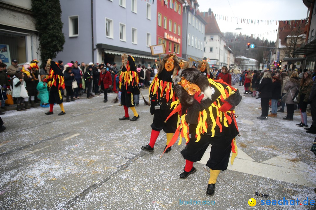 Tuttlinger Fasnetumzug: Tuttlingen am Bodensee, 10.02.2018