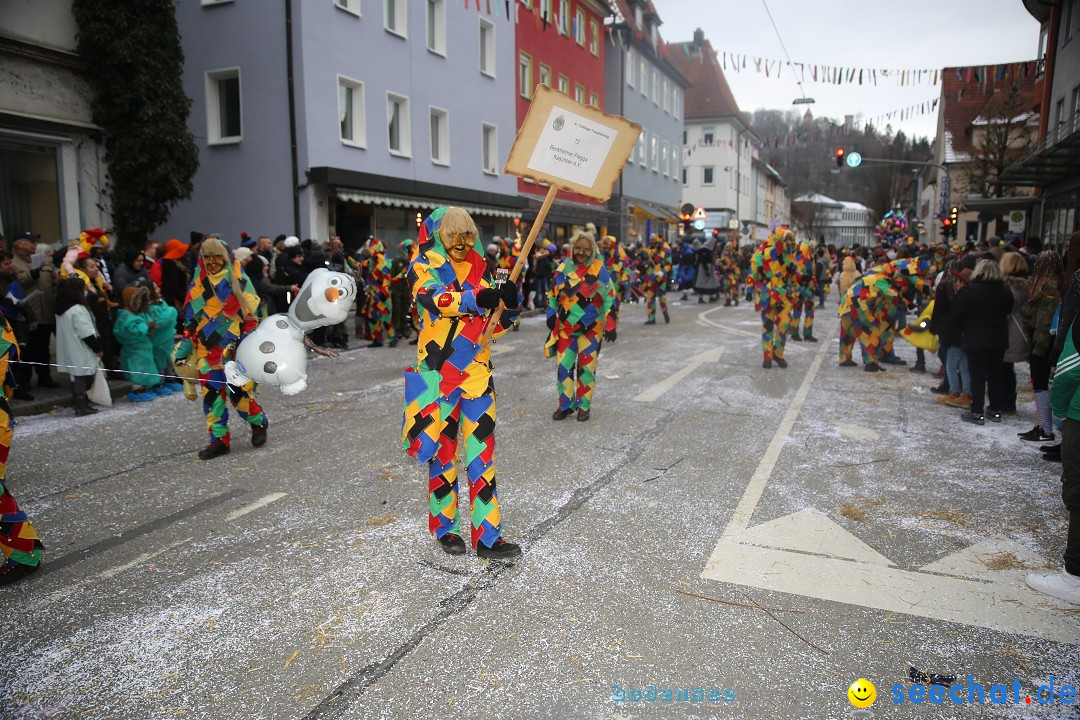 Tuttlinger Fasnetumzug: Tuttlingen am Bodensee, 10.02.2018