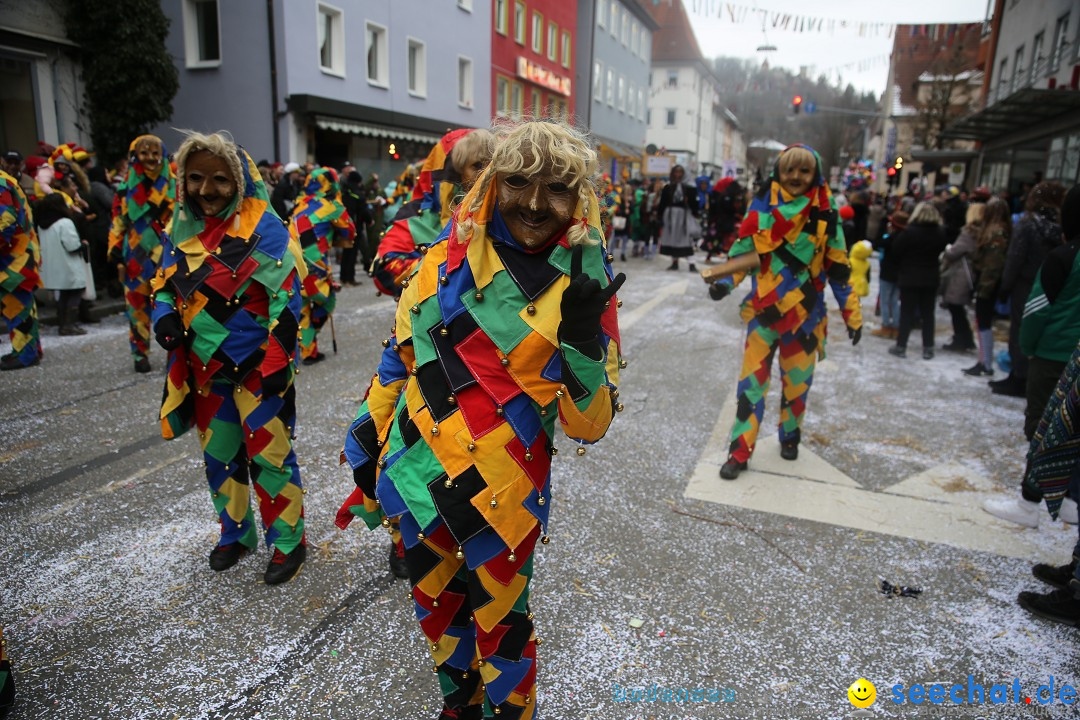 Tuttlinger Fasnetumzug: Tuttlingen am Bodensee, 10.02.2018