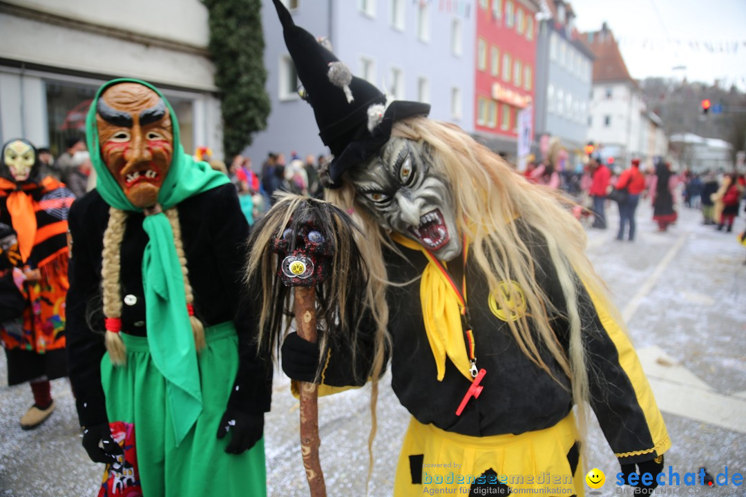 Tuttlinger Fasnetumzug: Tuttlingen am Bodensee, 10.02.2018