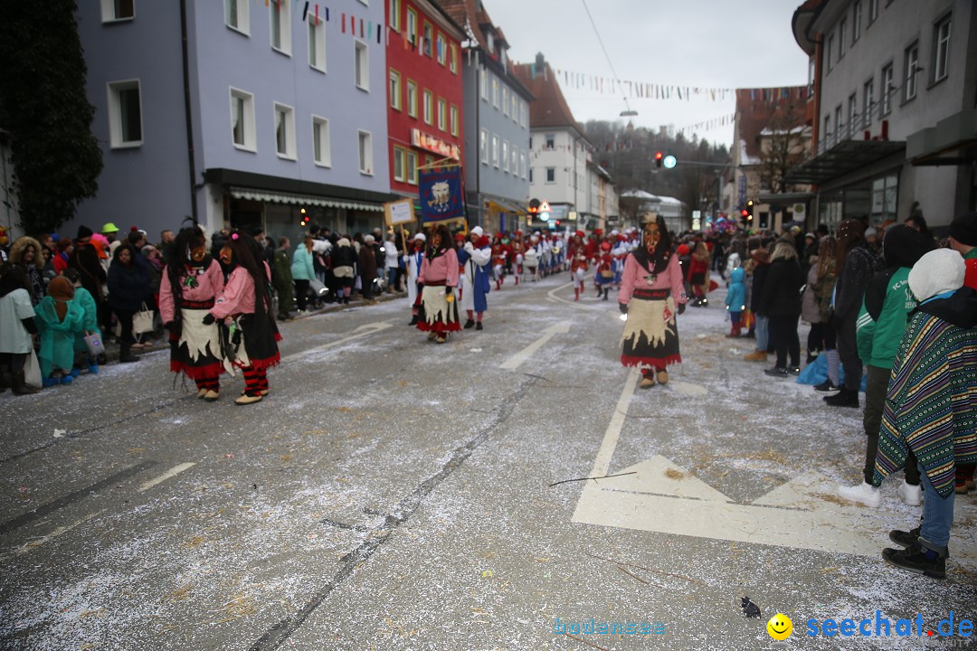 Tuttlinger Fasnetumzug: Tuttlingen am Bodensee, 10.02.2018