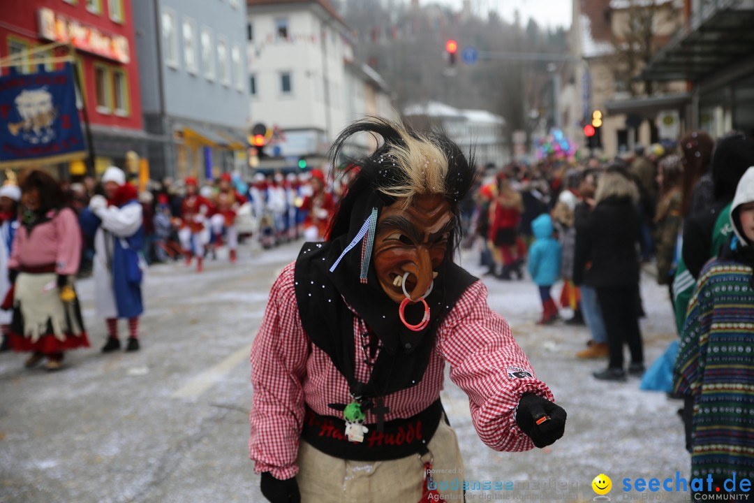 Tuttlinger Fasnetumzug: Tuttlingen am Bodensee, 10.02.2018