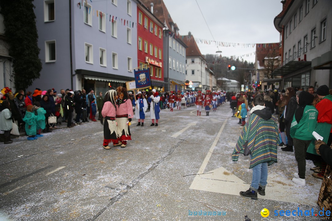 Tuttlinger Fasnetumzug: Tuttlingen am Bodensee, 10.02.2018