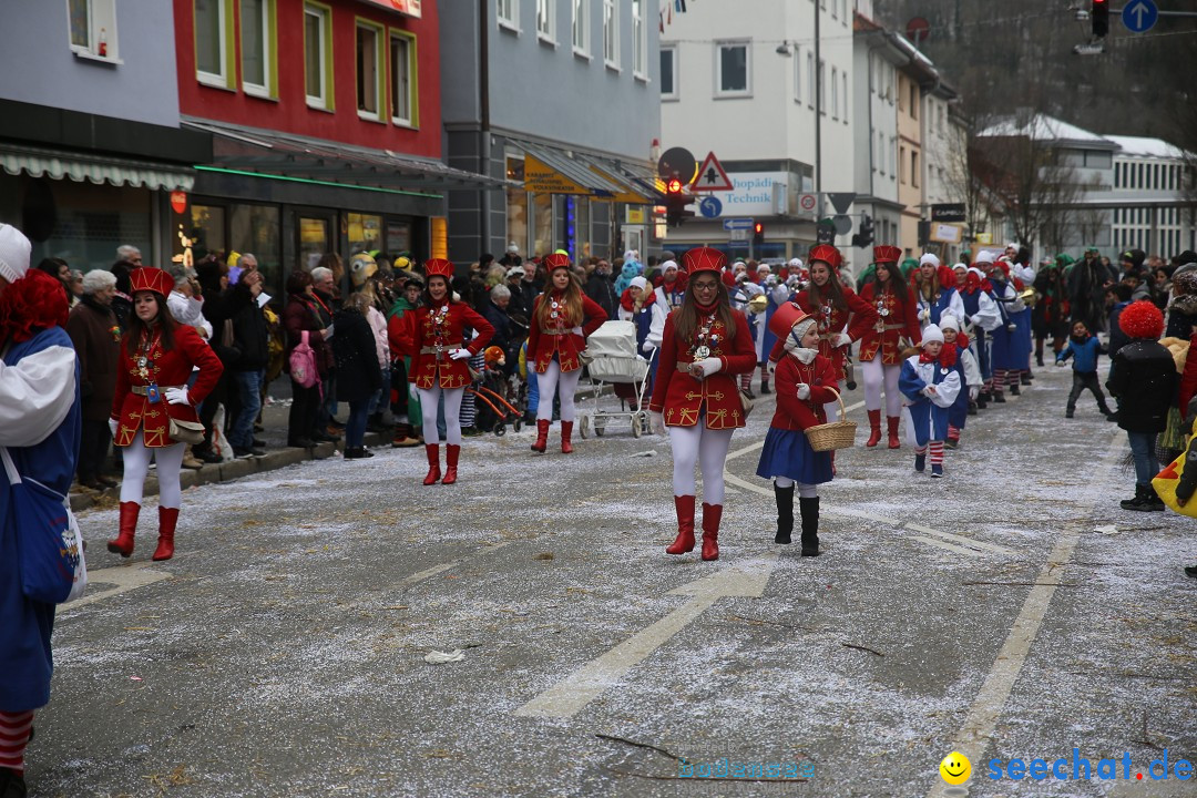 Tuttlinger Fasnetumzug: Tuttlingen am Bodensee, 10.02.2018