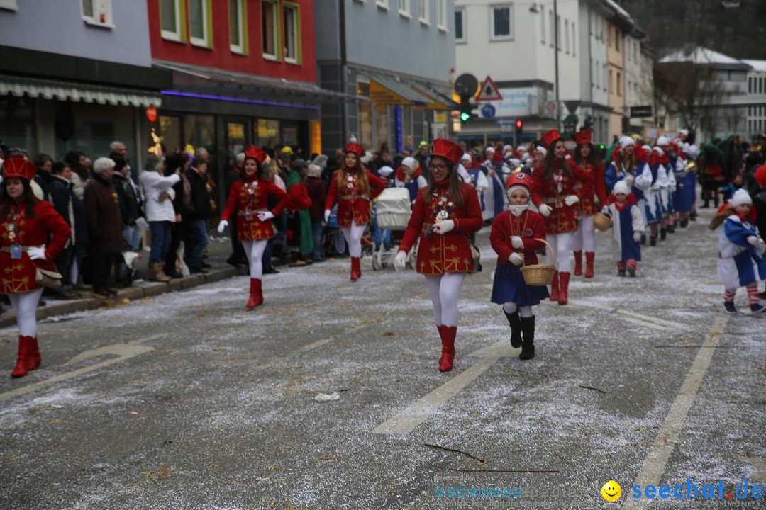 Tuttlinger Fasnetumzug: Tuttlingen am Bodensee, 10.02.2018