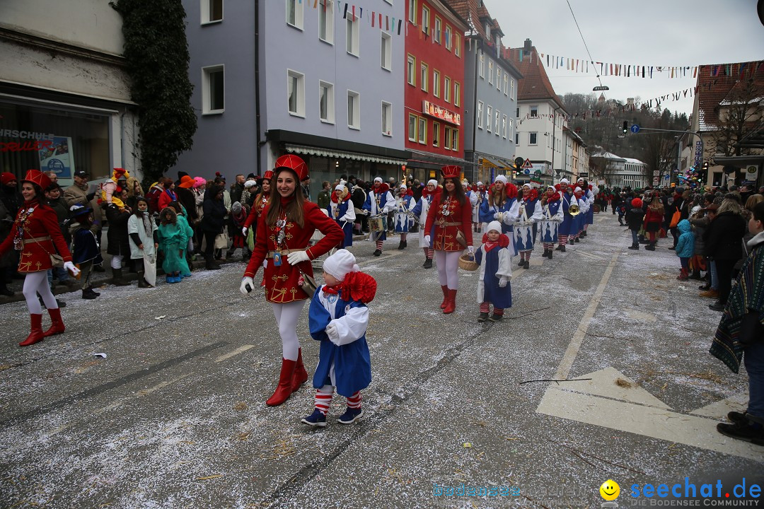 Tuttlinger Fasnetumzug: Tuttlingen am Bodensee, 10.02.2018